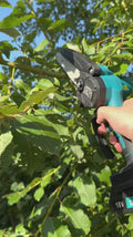 Élagage d'une branche à une main avec la V30 PRO