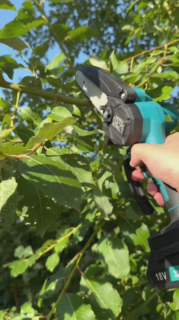 Élagage d'une branche à une main avec la V30 PRO